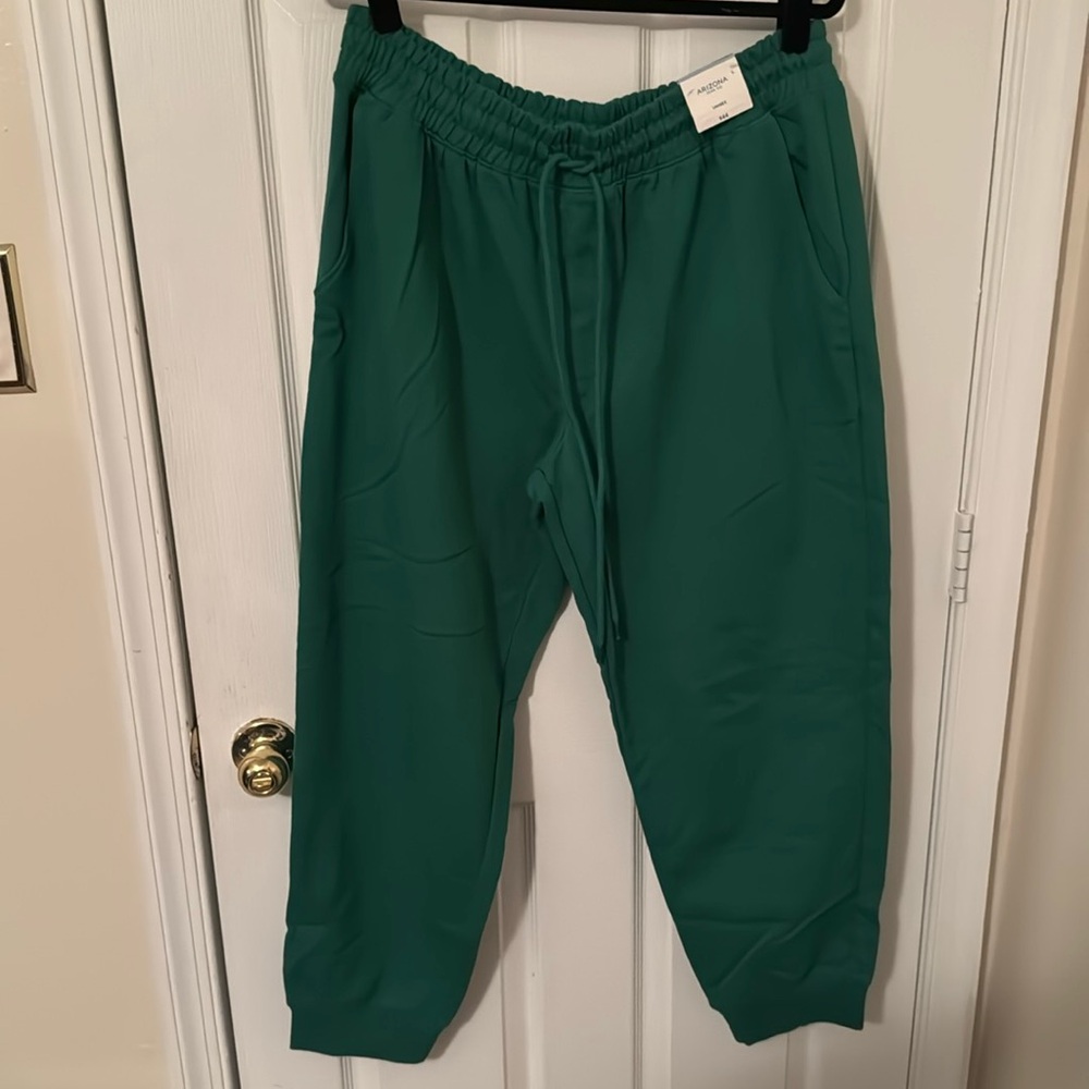 Arizona Jean Co Joggers Size L Color Green